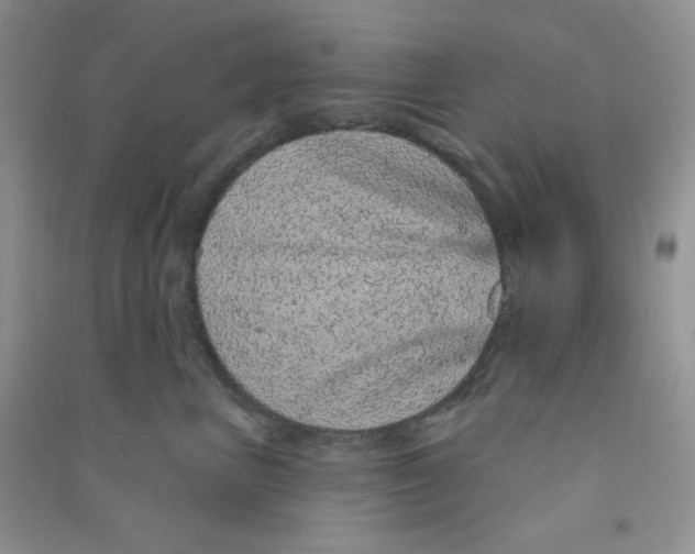 X0000090710667200708171907