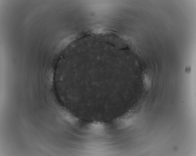 X0000090710668200708171907