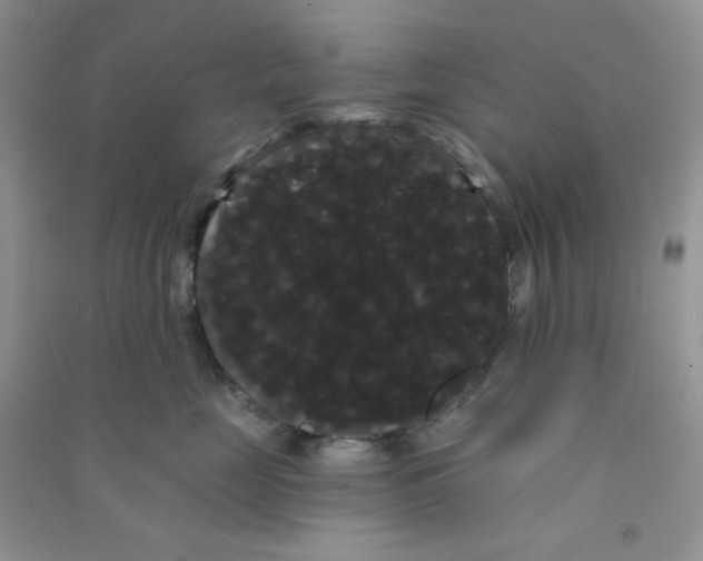 X0000090710669200708171907