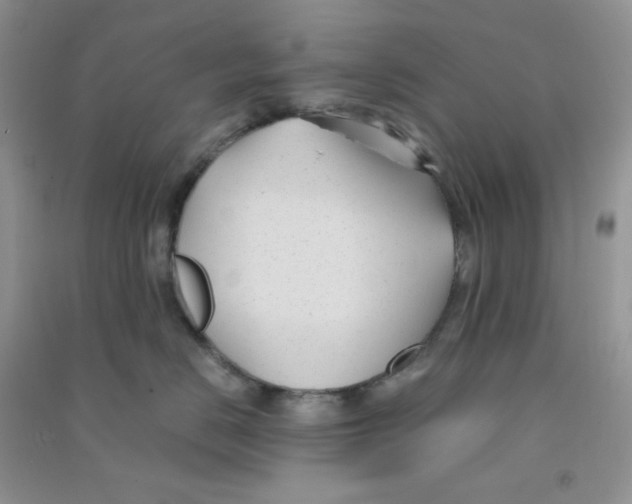 X0000090710670200708171907