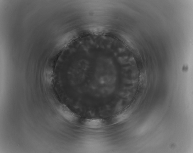 X0000090710671200708171907