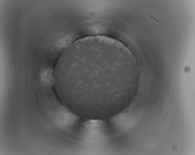 X0000090710672200708171907