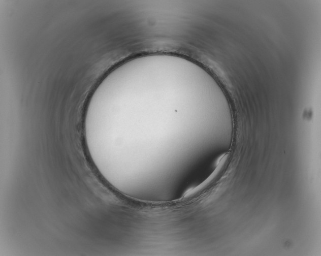 X0000090710673200708171907