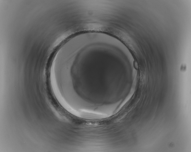 X0000090710674200708171907