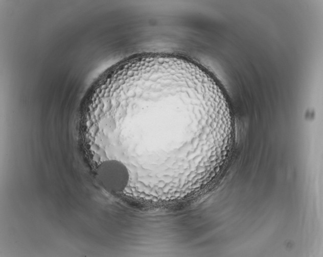 X0000090710675200708171907