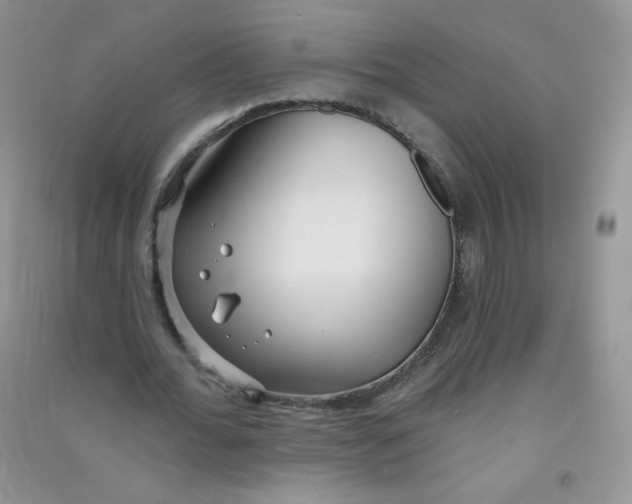 X0000090710676200708171907