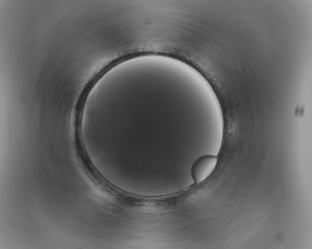 X0000090710678200708171907