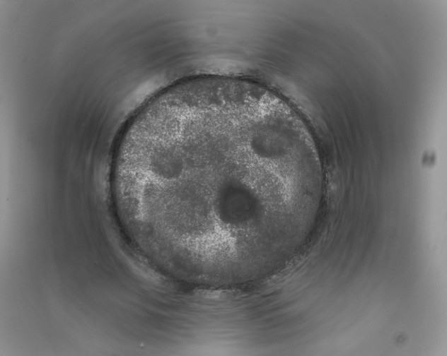 X0000090710679200708171907