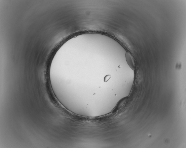 X0000090710680200708171907