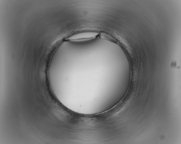 X0000090710681200708171907