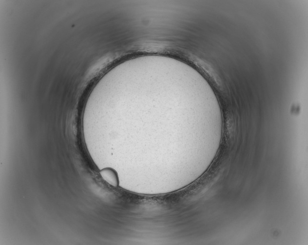 X0000090710682200708171907