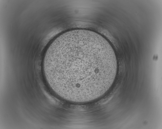 X0000090710683200708171907