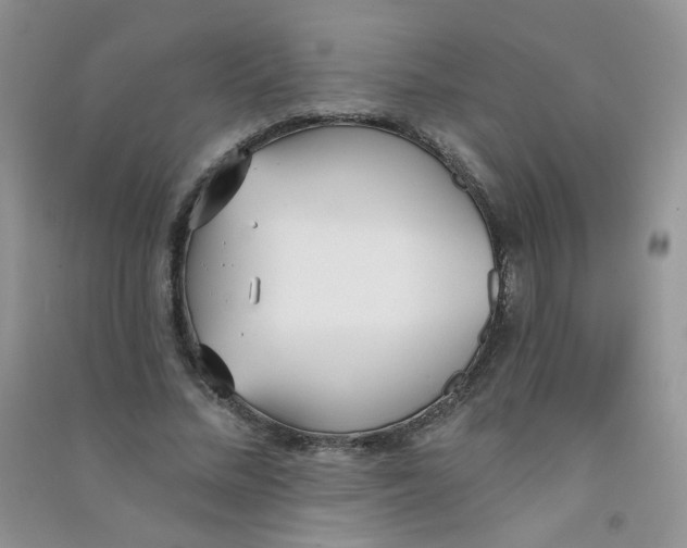 X0000090710684200708171907