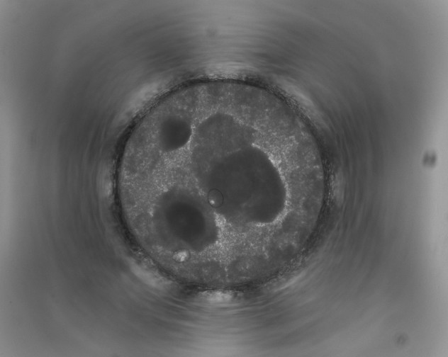 X0000090710687200708171907