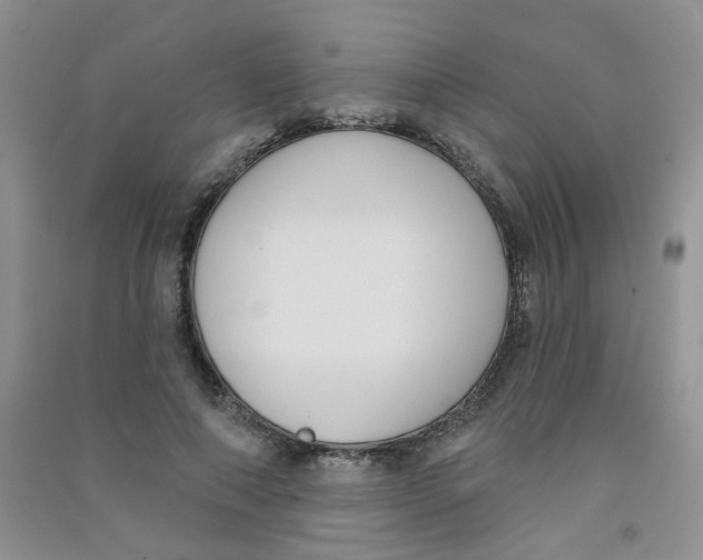 X0000090710690200708171907