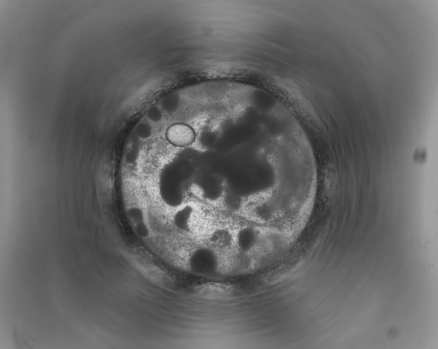 X0000090710691200708171907