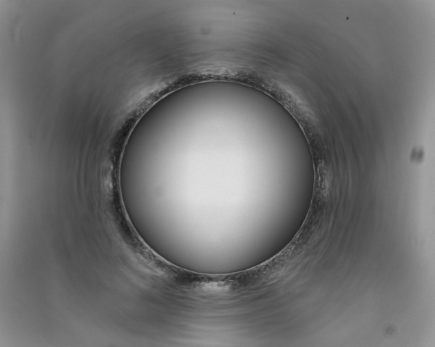 X0000090710692200708171907