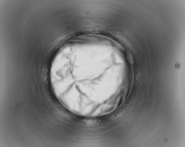 X0000090710693200708171907