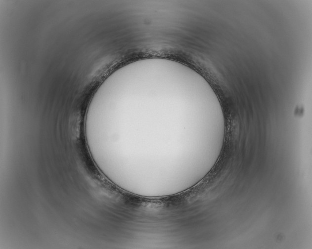 X0000090710694200708171907