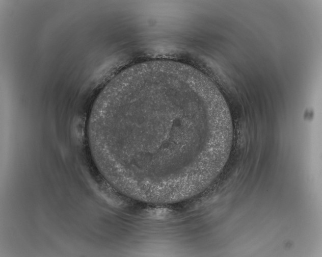 X0000090710695200708171907