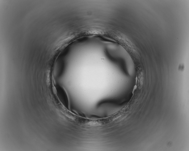 X0000090710696200708171906