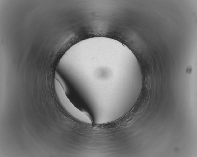 X0000090710697200708171906