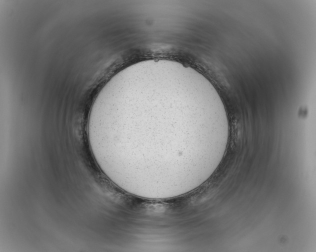 X0000090710698200708171906