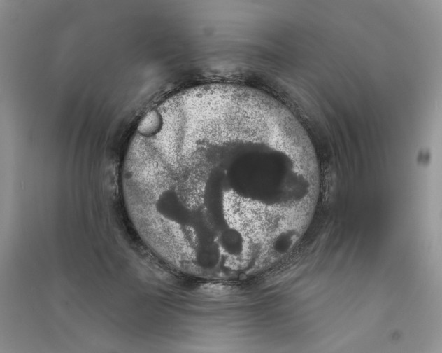 X0000090710699200708171906