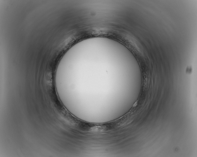 X0000090710700200708171906