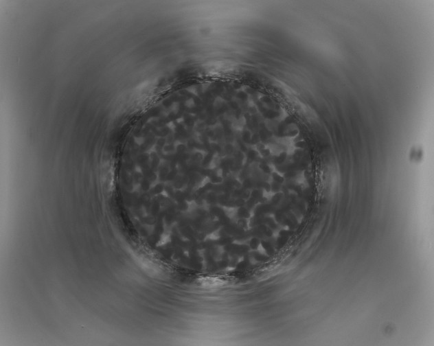 X0000090710703200708171906