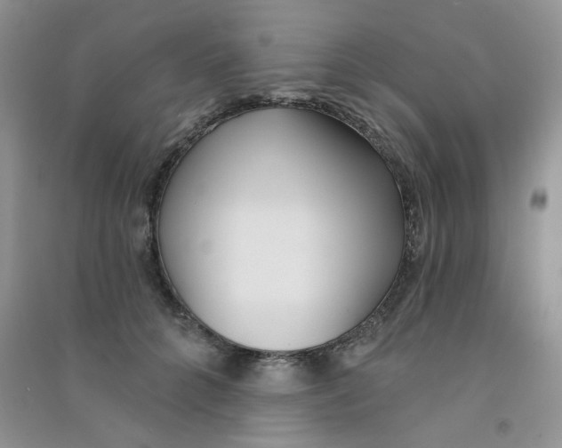 X0000090710704200708171906