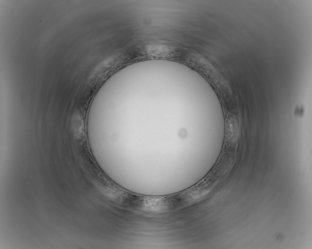 X0000090710705200708171906