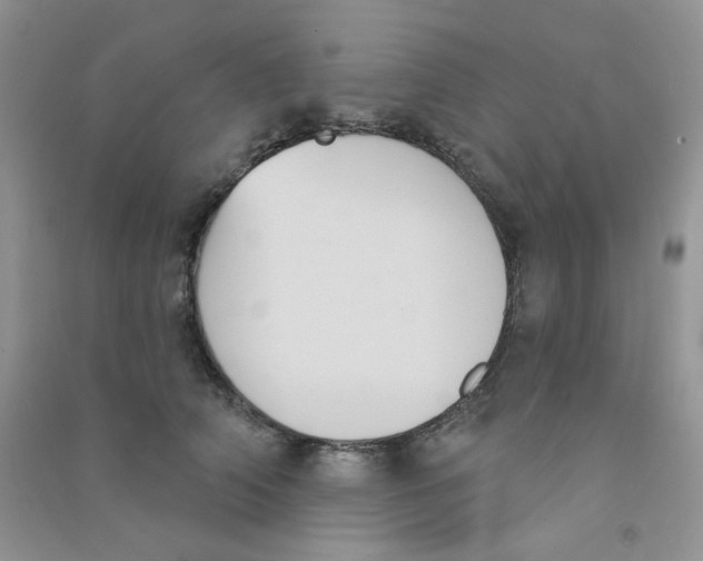 X0000090710706200708171906