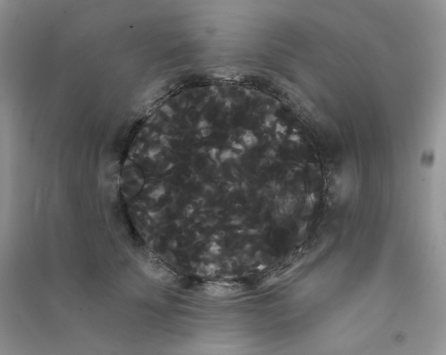 X0000090710707200708171906