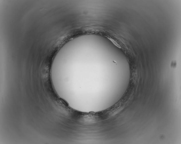 X0000090710708200708171906