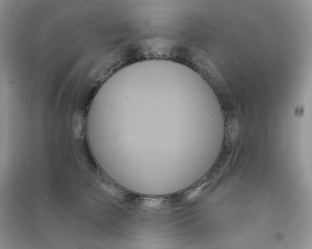 X0000090710709200708171906