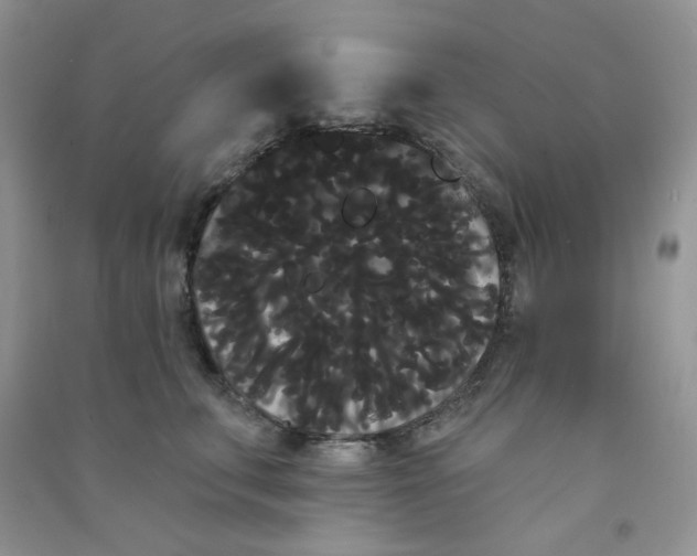 X0000090710711200708171906