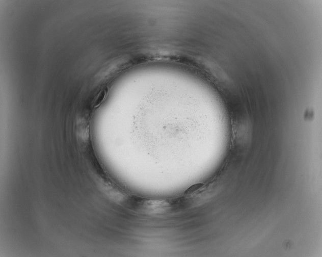 X0000090710719200708171906