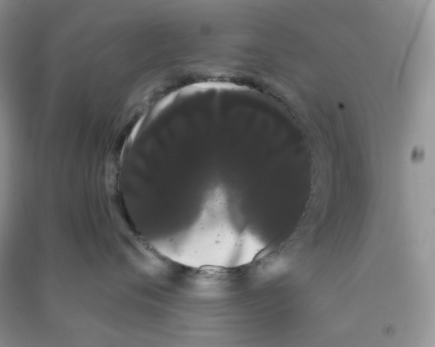 X0000090710720200708171906