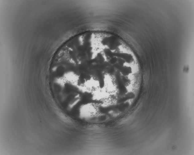 X0000090710721200708171906