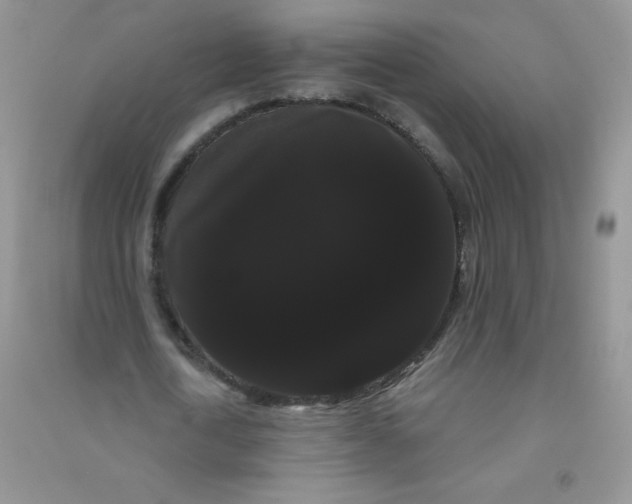 X0000090710722200708171906