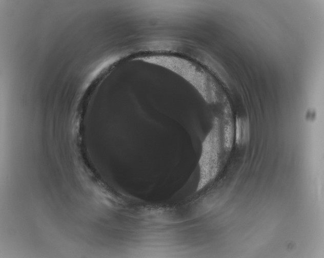 X0000090710723200708171906