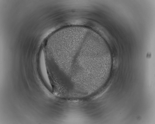 X0000090710725200708171906