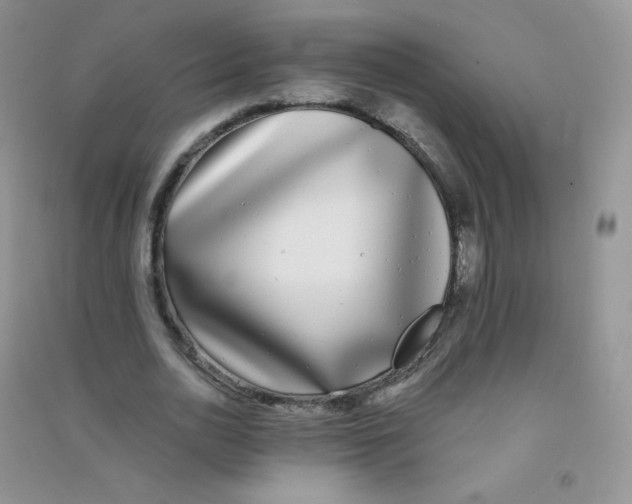 X0000090710726200708171906