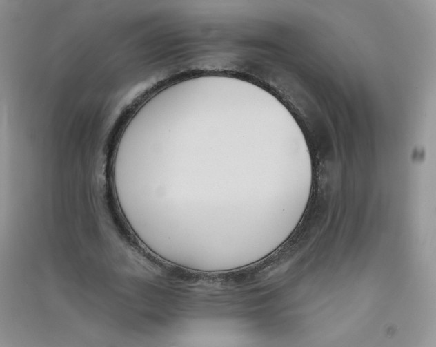 X0000090710727200708171906