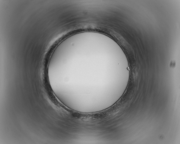 X0000090710728200708171906