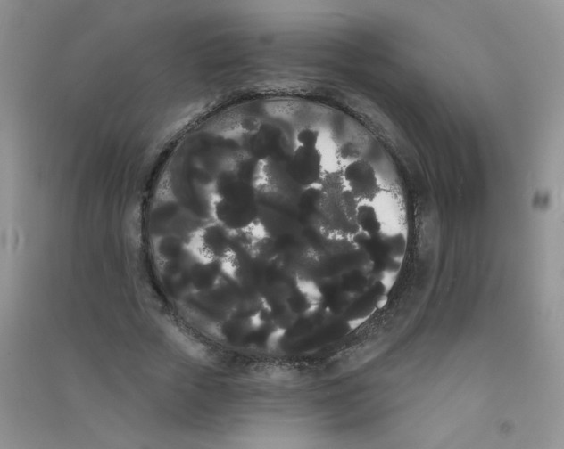 X0000090710729200708171906