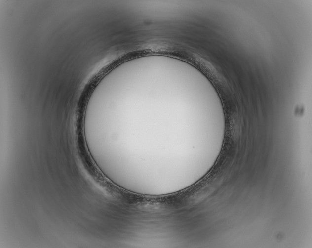 X0000090710730200708171906