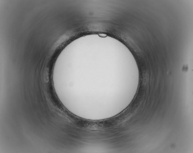 X0000090710731200708171906