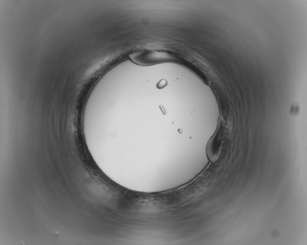 X0000090710732200708171906